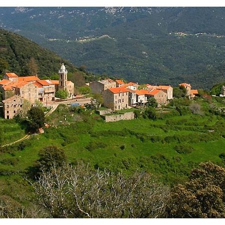 Villa Casadimela à Porto-Vecchio  Extérieur photo